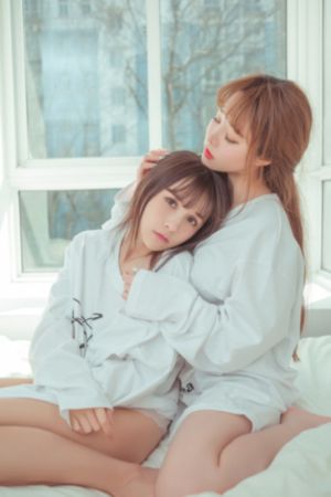 细狗网页版登录入口