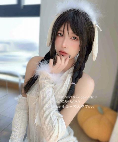 妻子的职业2