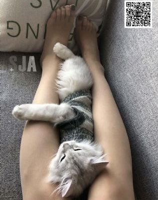 蜜桃网站在线