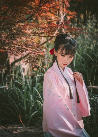 囮物语