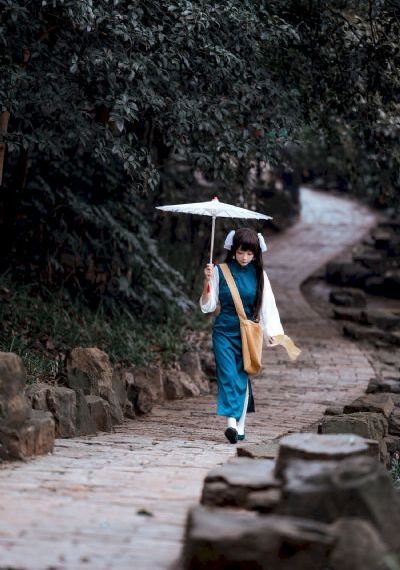 山中森林电影
